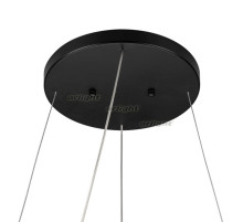 Потолочная чаша SL-CANOPY-D250 (BK) (arlight, Металл)
