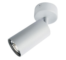 A3216PL-1GY AQUARIUS ARTE LAMP Спот