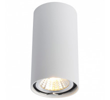 A1516PL-1WH Потолочный светильник Arte Lamp