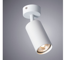 A3216PL-1WH AQUARIUS ARTE LAMP Спот