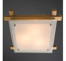 A6460PL-3BR ARCHIMEDE ARTE LAMP Настенно-потолочный светильник