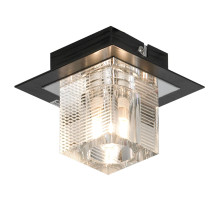 LSF-1307-01 Потолочный накладной  светильник Lussole