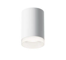 C008CW-01W Потолочный светильник Pauline Maytoni