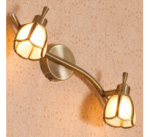 CL522521 Спот поворотный Citilux 