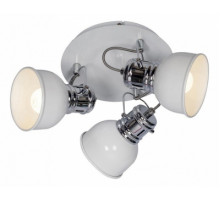 LSP-9956 Спот поворотный Lussole