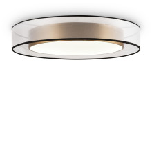 Светильник потолочный Zoticus FR6005CL-L48G