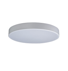 Светильник потолочный Axel 10002/24 White
