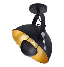 Светильник потолочный Lussole LOFT GRLSP-9825