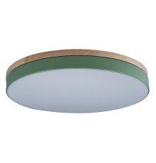 Светильник потолочный Axel 10001/36 Green