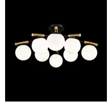 Потолочный светильник Paolina FR5011CL-08B