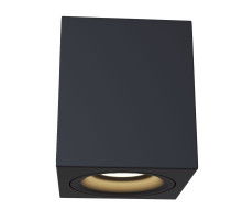 C013CL-01B Потолочный светильник Alfa 