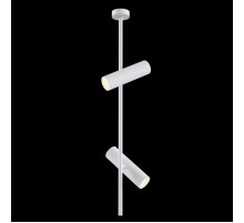 Потолочный светильник Elti C021CL-02W