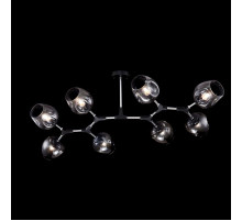 Потолочный светильник Desi FR5006CL-08B