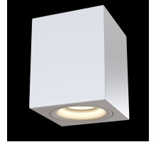 C013CL-01W Потолочный светильник Alfa 