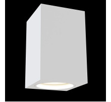 C011CL-01W Потолочный светильник Alfa 