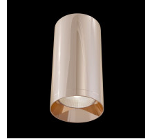 Потолочный светильник Alfa C010CL-01RG