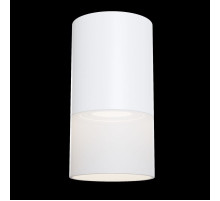 C007CW-01W Потолочный светильник Pauline Maytoni