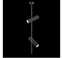 Потолочный светильник Elti C021CL-02B