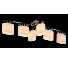 Потолочный светильник Bice FR5101-CL-06-CN