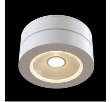 C022CL-L12W4K Потолочный светильник Alivar 